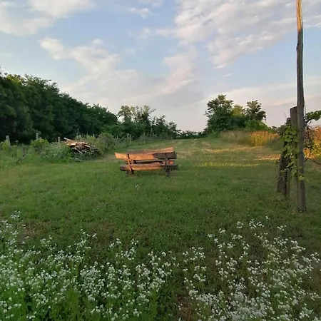 Kleine Weinberghaeuschen In - Jaegerpince بيت للعطل *