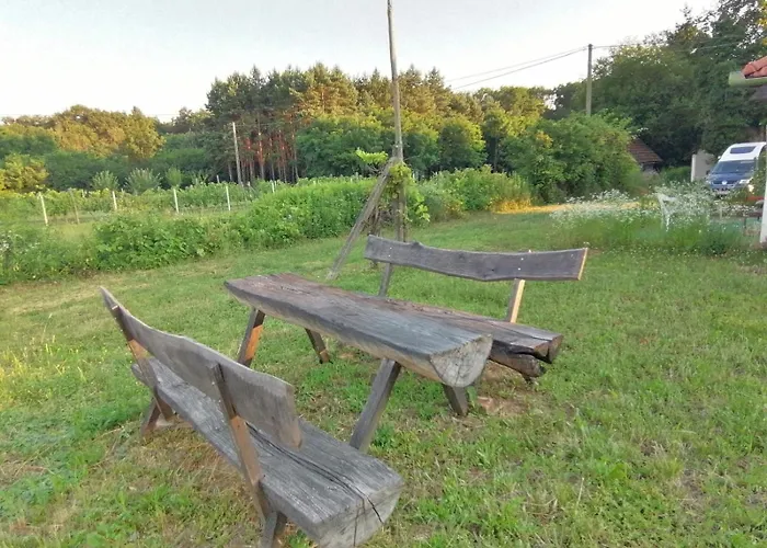 Case de vacanță Kleine Weinberghaeuschen In - Jaegerpince Garabonc