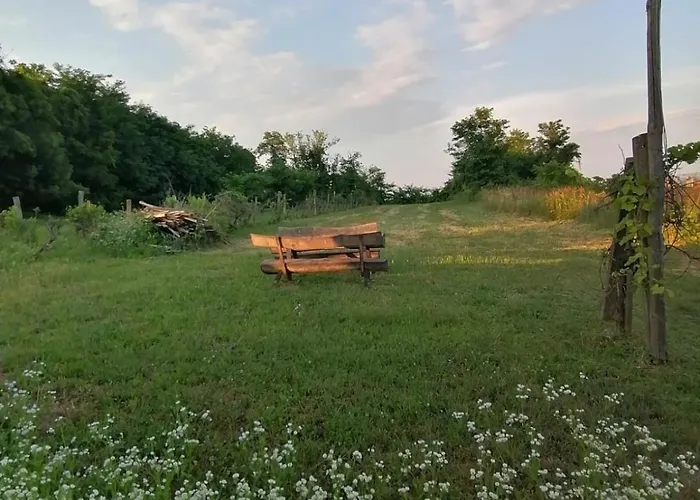 Kleine Weinberghaeuschen In - Jaegerpince Case de vacanță *